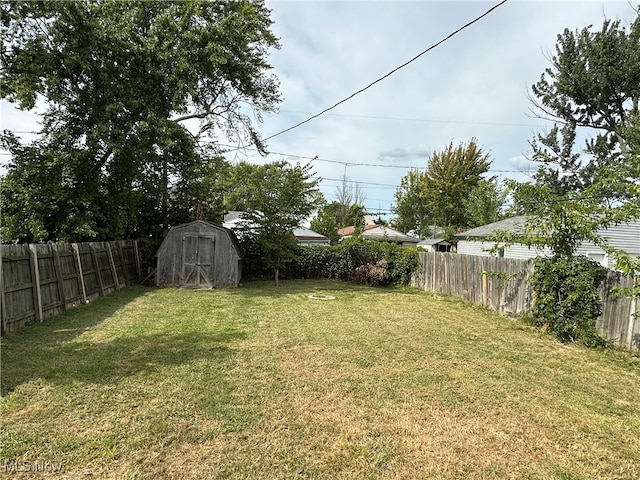 view of yard featuring a storage unit