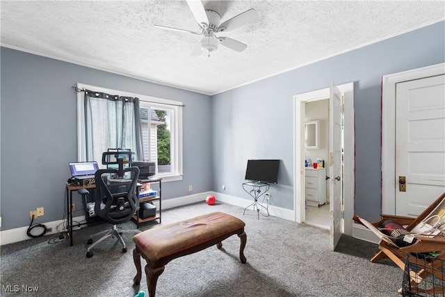 office space featuring carpet flooring, a textured ceiling, and ceiling fan