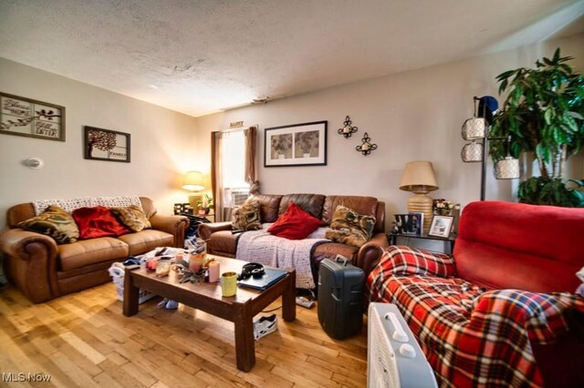 living room featuring light wood-type flooring and a textured ceiling