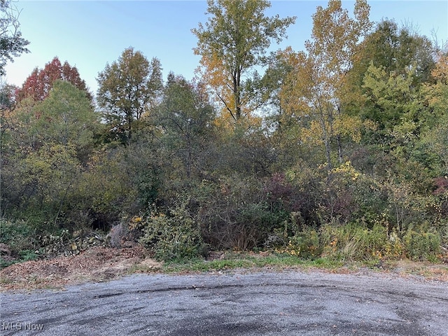 Taylor Ave, Girard OH, 44420 land for sale