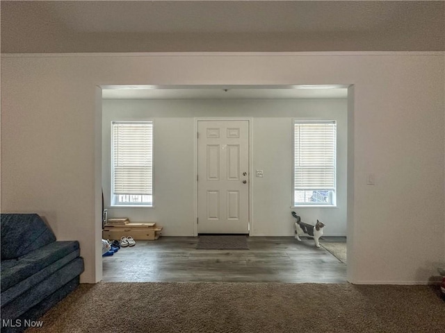 foyer entrance with dark wood-style floors and dark colored carpet