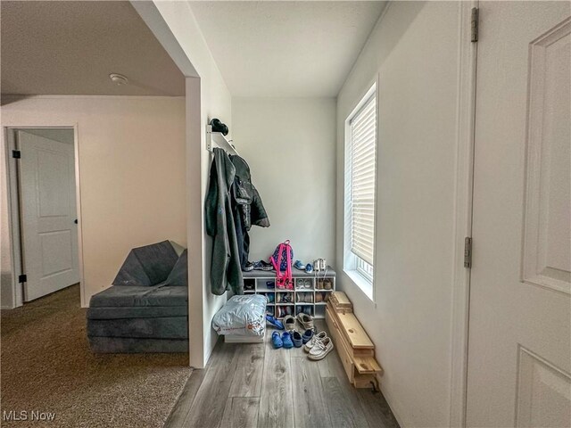 mudroom featuring wood finished floors and a healthy amount of sunlight