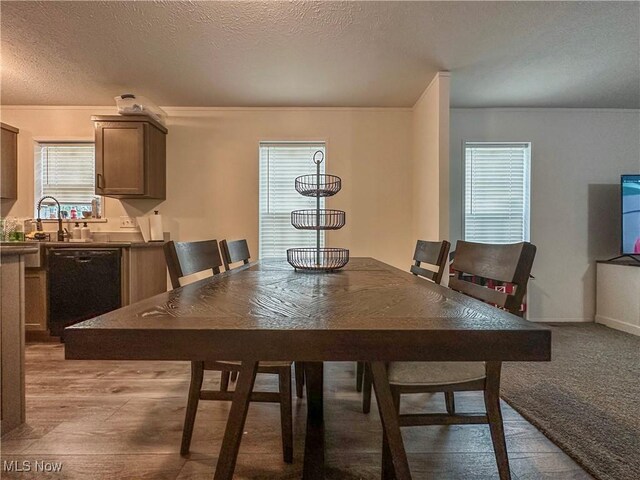 dining room featuring light wood-style floors and a textured ceiling