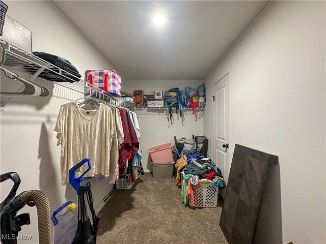 spacious closet featuring carpet