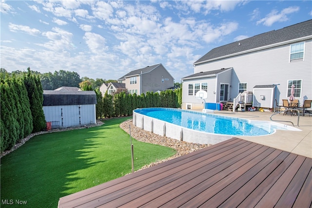 view of swimming pool with a patio, a shed, and a yard