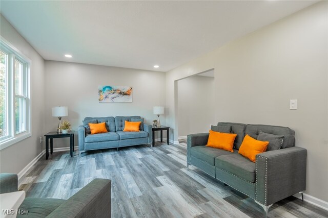 living room with hardwood / wood-style flooring and plenty of natural light