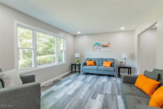 living room with hardwood / wood-style flooring