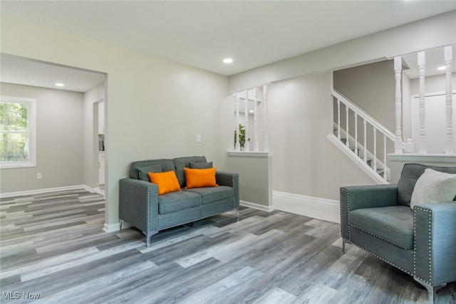 living room with hardwood / wood-style floors