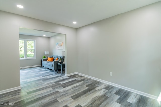 interior space with wood-type flooring