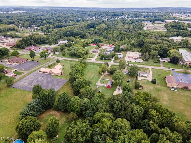 bird's eye view