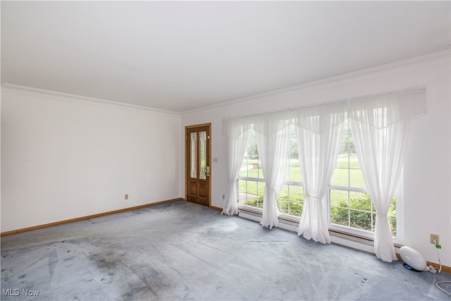 carpeted spare room featuring ornamental molding