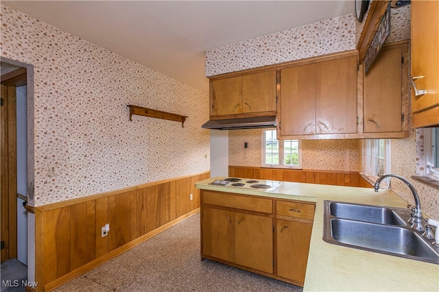 kitchen featuring sink and white gas cooktop