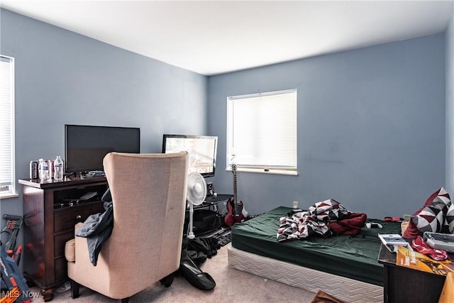 bedroom featuring carpet floors