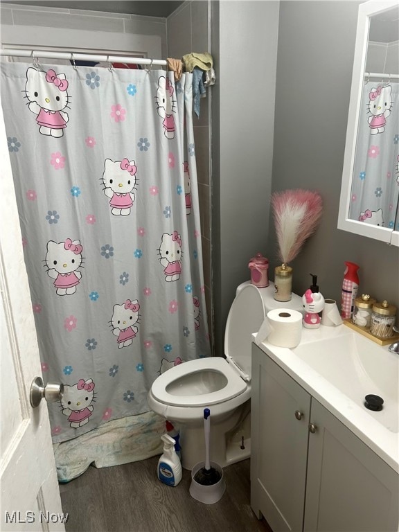 bathroom featuring toilet, vanity, and wood-type flooring