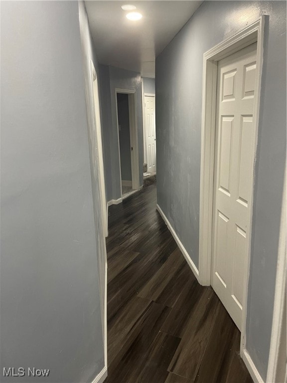 hallway featuring wood-type flooring