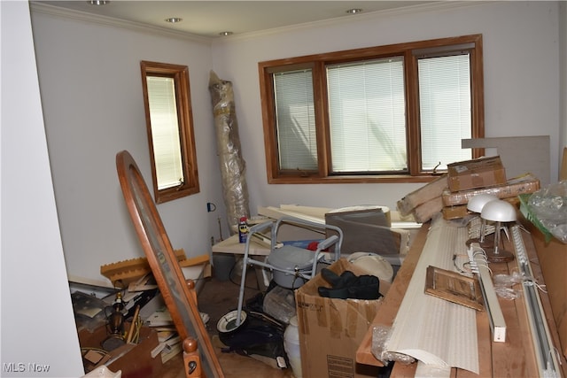 interior space with plenty of natural light and ornamental molding