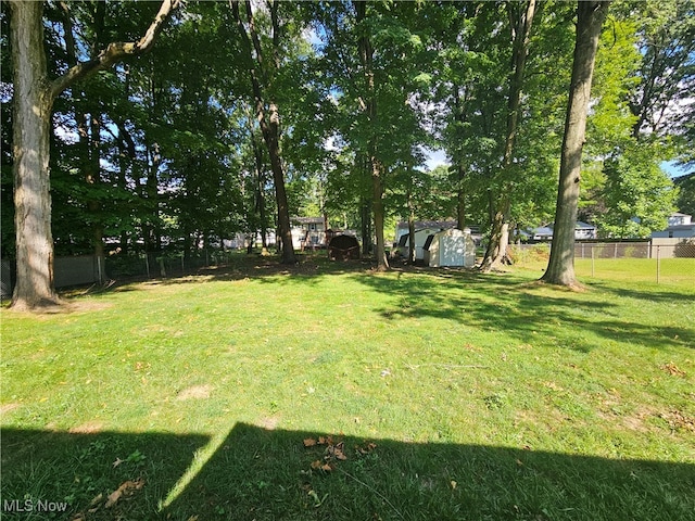 view of yard featuring a storage unit