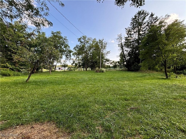 7795 State Route 303, Windham, OH 44288 - photo 2
