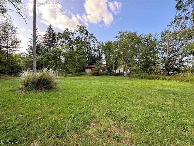 7795 State Route 303, Windham, OH 44288 - photo 3