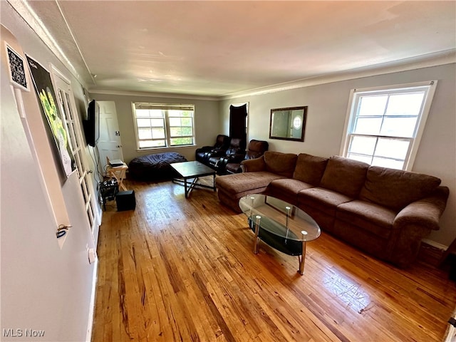 living room featuring light wood-type flooring and crown molding