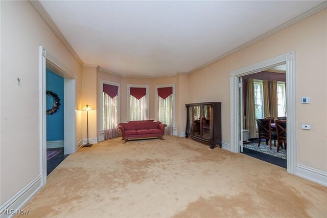 unfurnished room with carpet flooring and ornamental molding