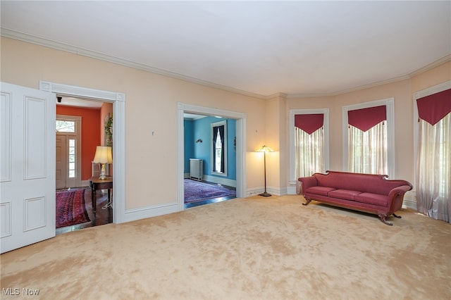 sitting room featuring carpet and ornamental molding