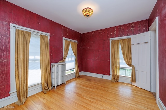 spare room featuring plenty of natural light and light hardwood / wood-style floors