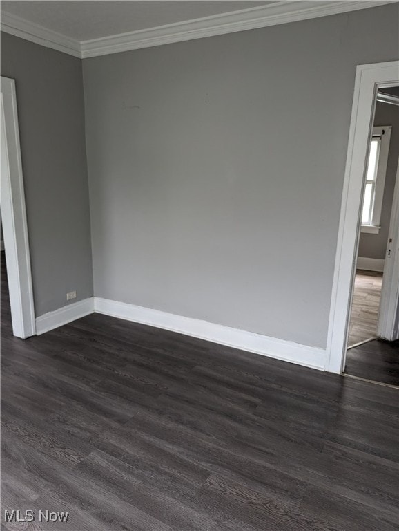 empty room with ornamental molding and dark hardwood / wood-style floors