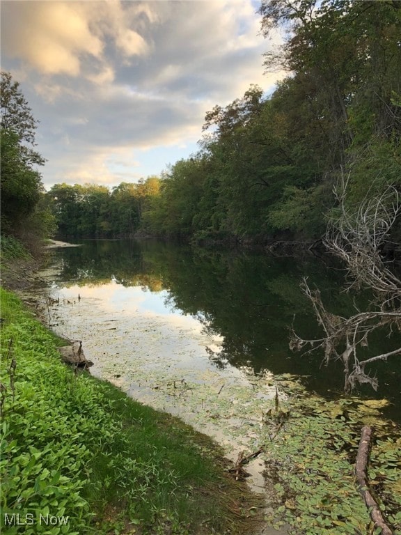 property view of water