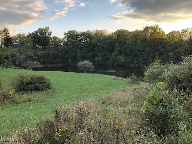 nature at dusk featuring a water view