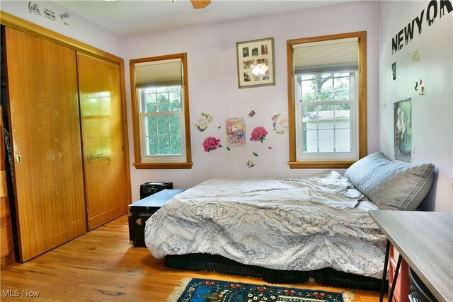 bedroom with multiple windows, a closet, and light hardwood / wood-style flooring