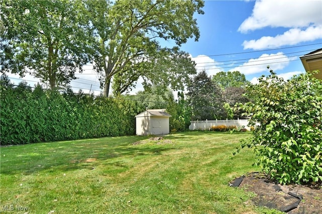 view of yard with a storage shed, an outdoor structure, and fence