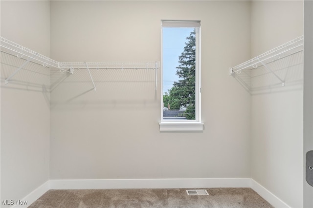 spacious closet featuring carpet floors