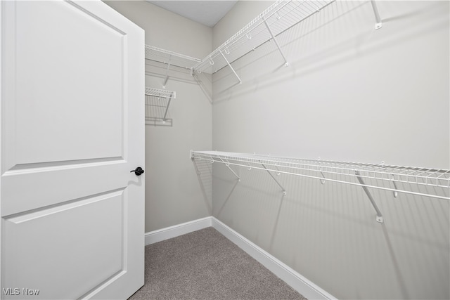 spacious closet with carpet floors