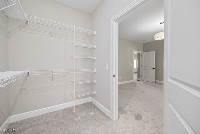 spacious closet featuring light carpet