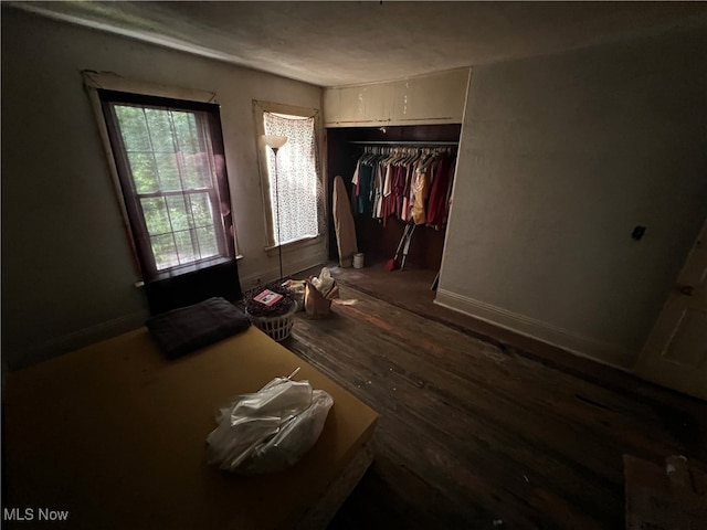 interior space featuring a closet and wood-type flooring