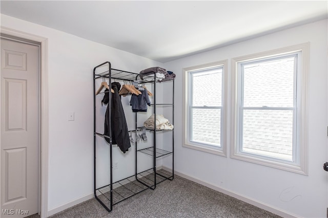 interior space featuring carpet flooring and multiple windows