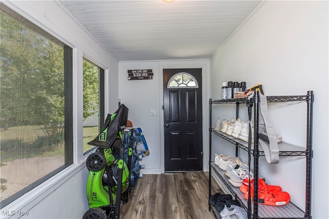 entrance foyer with dark hardwood / wood-style flooring