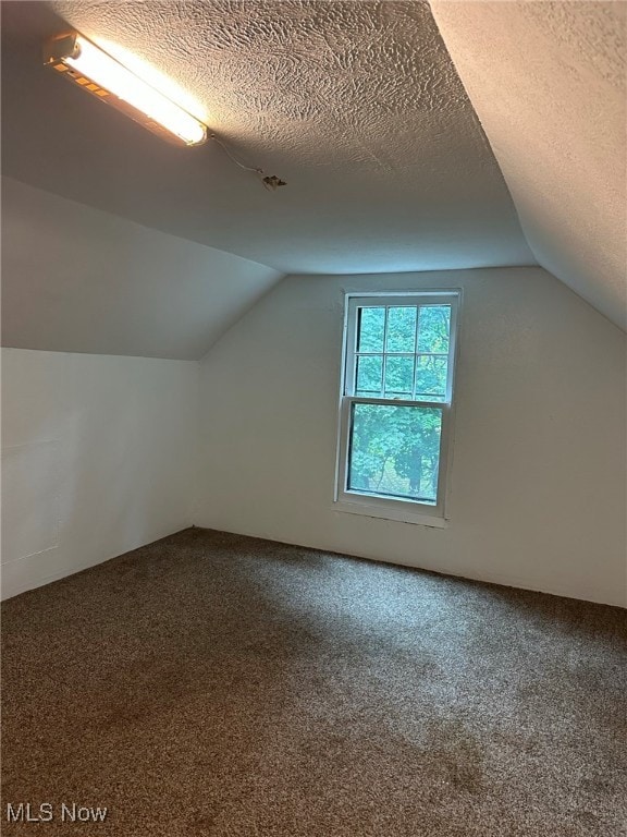 additional living space featuring carpet flooring, a textured ceiling, and lofted ceiling