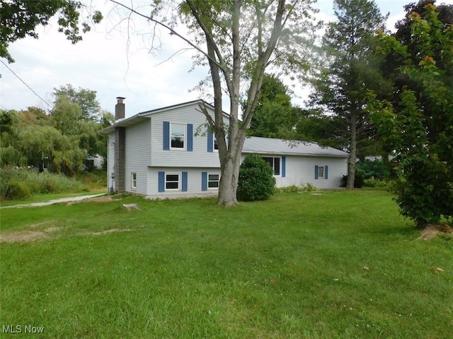 back of house featuring a yard