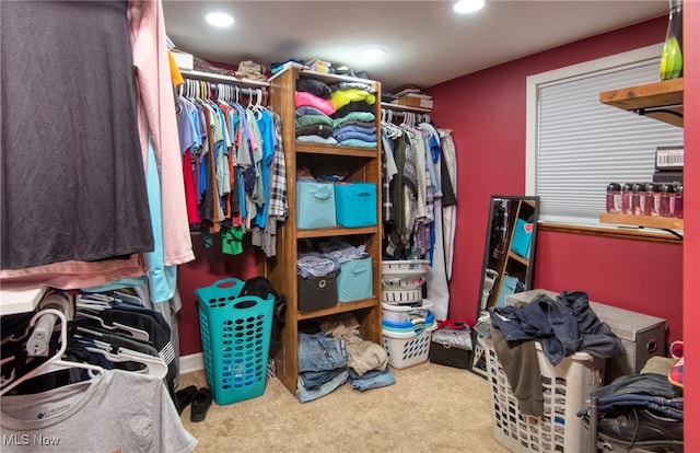 walk in closet with carpet floors