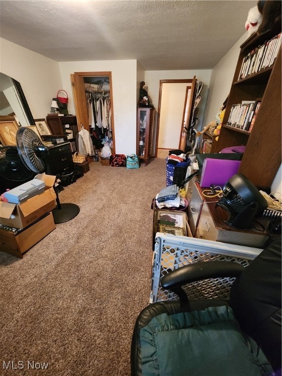 interior space featuring carpet flooring and a textured ceiling