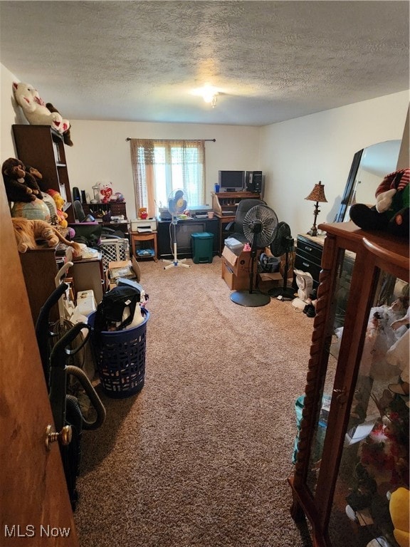 bedroom featuring carpet flooring and a textured ceiling