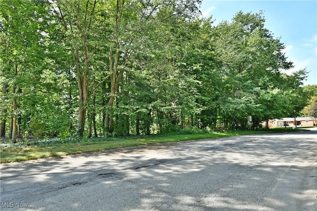 Hunters Holw, Warren, OH 44484 - photo 12