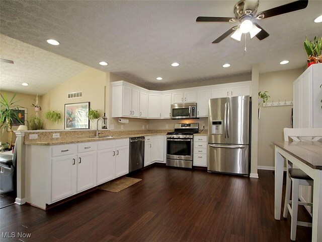 kitchen with light stone countertops, dark hardwood / wood-style floors, ceiling fan, stainless steel appliances, and lofted ceiling