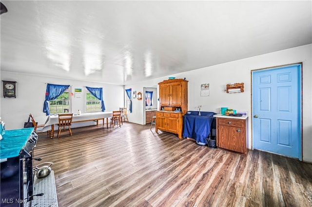 living room featuring hardwood / wood-style floors