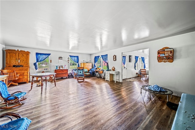 living room with hardwood / wood-style floors