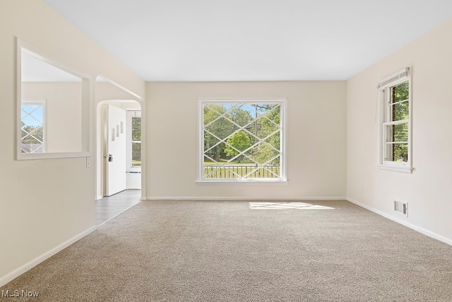 carpeted empty room with a healthy amount of sunlight