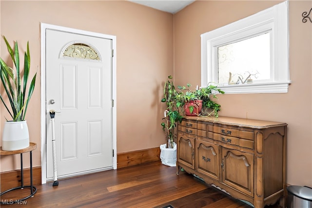 entrance foyer with dark hardwood / wood-style flooring