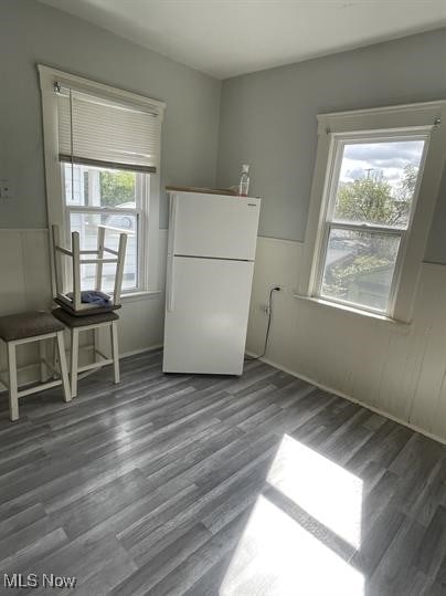 kitchen featuring dark hardwood / wood-style flooring, a wealth of natural light, and white fridge